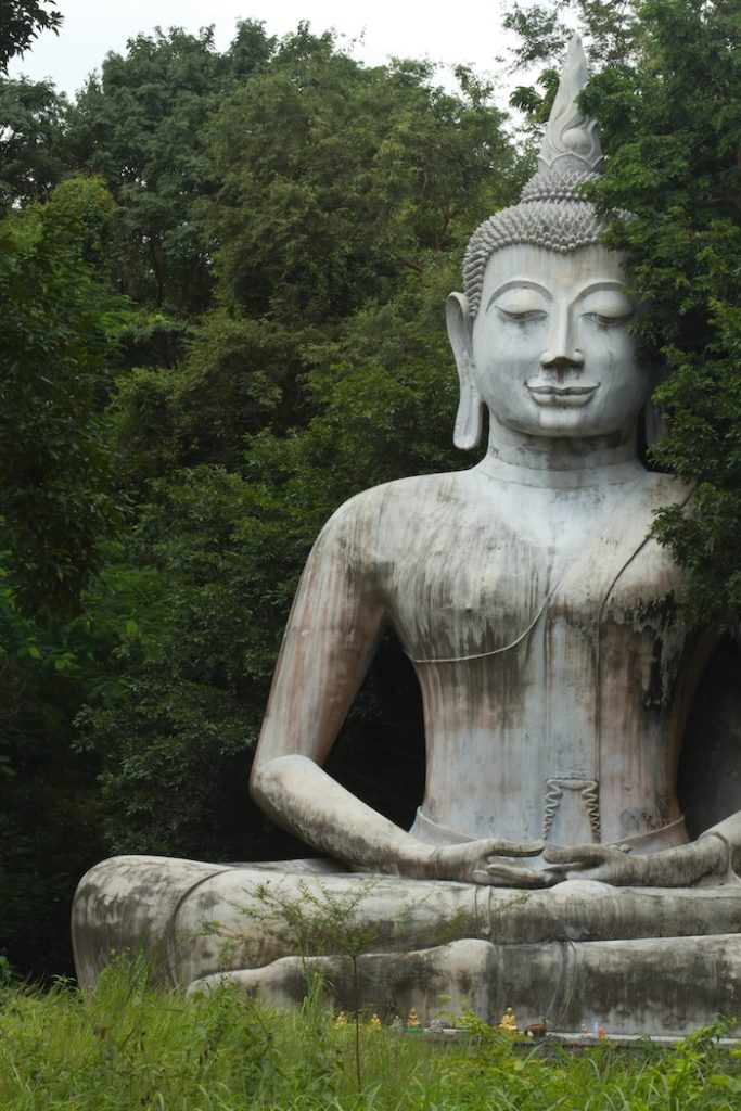 “All these Forms” – by Khenpo Tsultrim Gyamtso Rinpoche